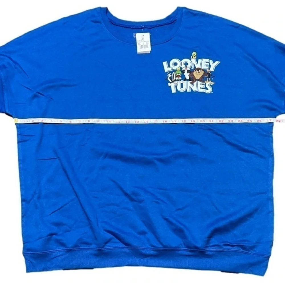 Looney Tunes Royal Blue Pullover Men’s  (Sz 2X)